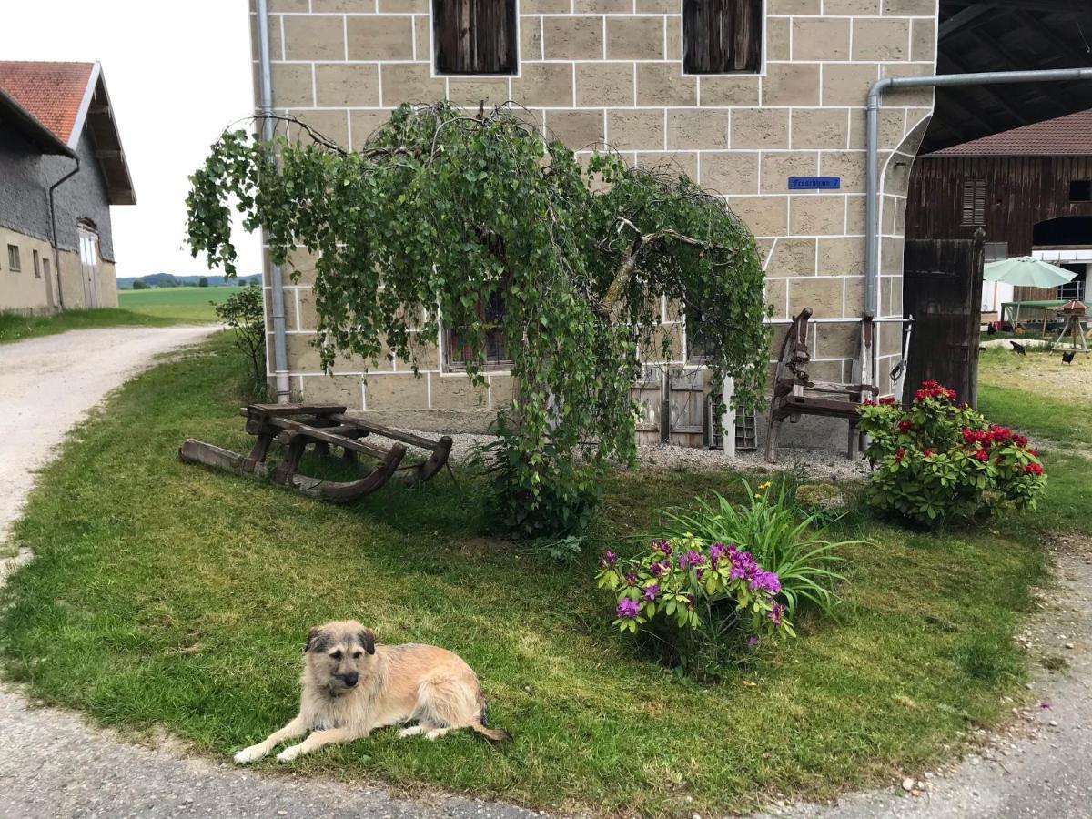 Pferdehof Dietzsch, Tittmoning Esterno foto